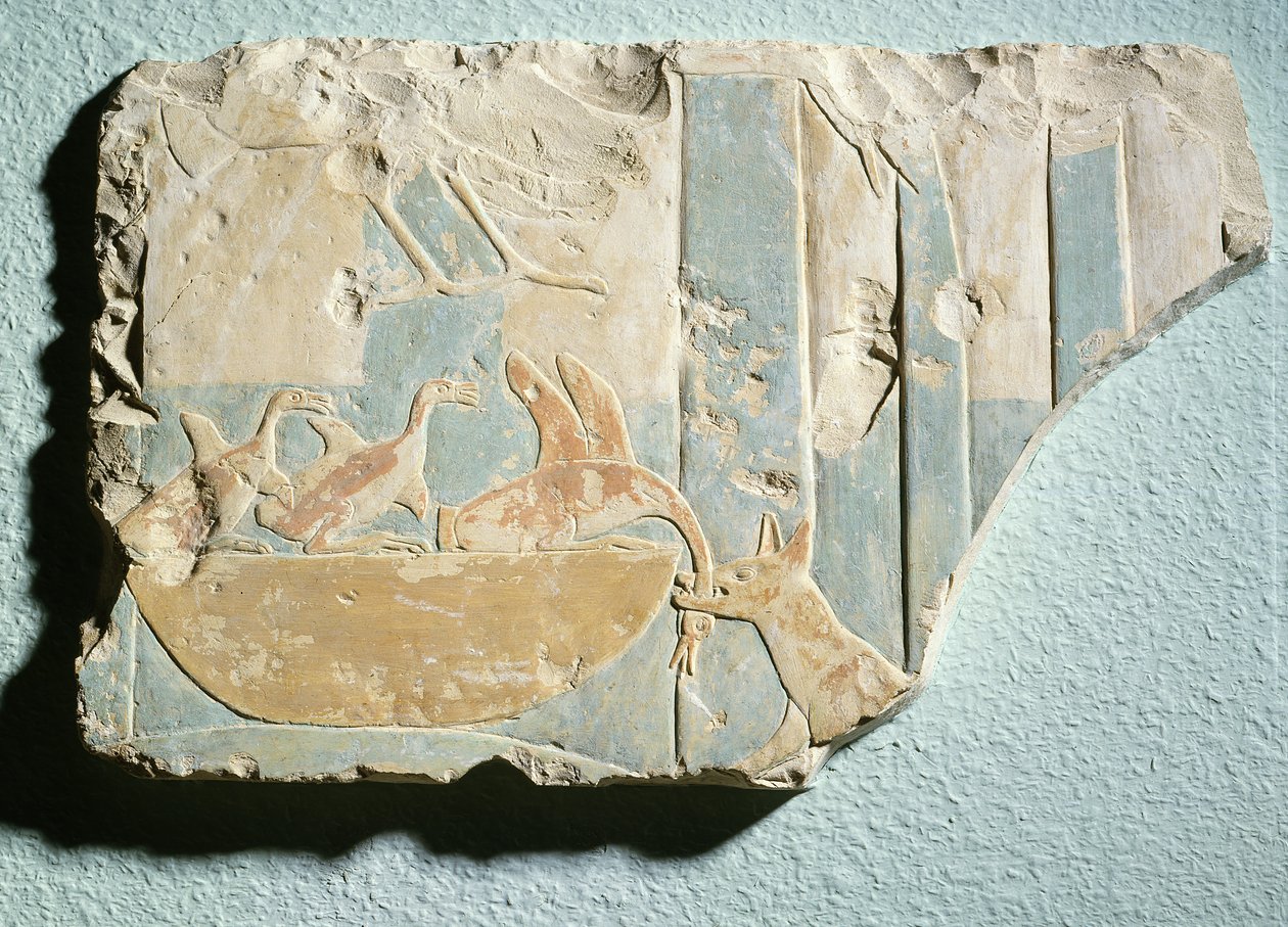 نقش يصور غارة من قبل حيوان يشبه الكلب على عش الطيور ، من المعبد الجنائزي للملك مونتوحتب الثاني ، المملكة الوسطى (الحجر الجيري المطلي) بواسطة الأسرة المصرية الحادية عشر
