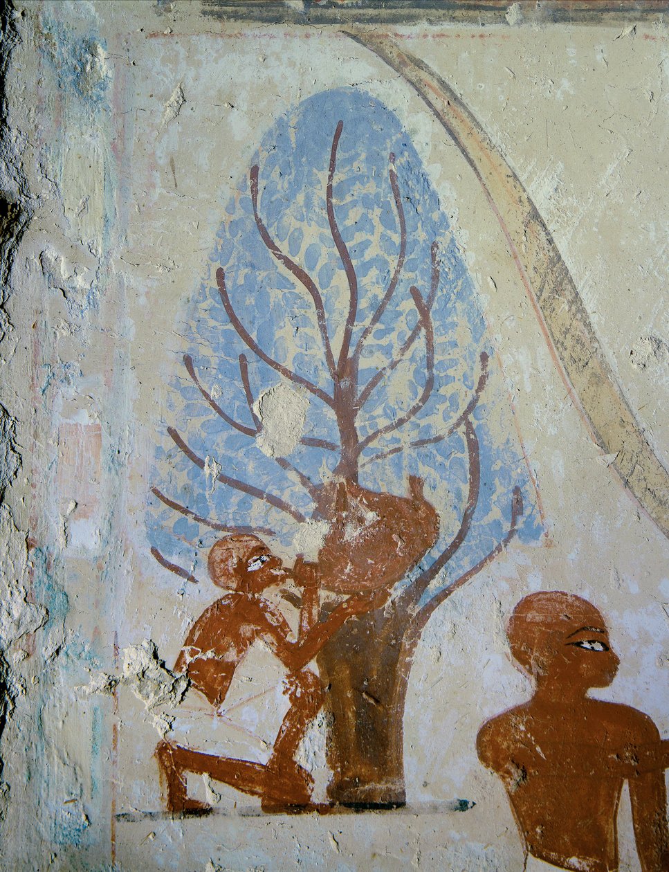  بواسطة الأسرة الثامنة عشر المصرية