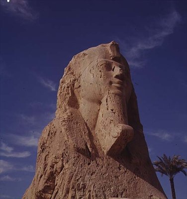 المرمر أبو الهول ، المملكة الحديثة ، ربما من عهد أمنحتب الثاني ، 1450-1425 قبل الميلاد (انظر أيضًا 59239) بواسطة الأسرة الثامنة عشر المصرية