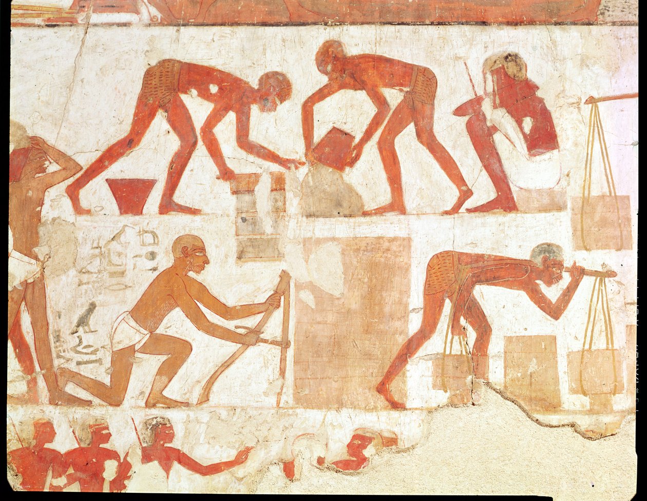 بناء جدار من قبر رخمير ، وزير تحتمس الثالث وأمنحتب الثاني ، المملكة الحديثة (الرسم على الحائط) (انظر 202228 لمزيد من التفاصيل) بواسطة الأسرة الثامنة عشر المصرية