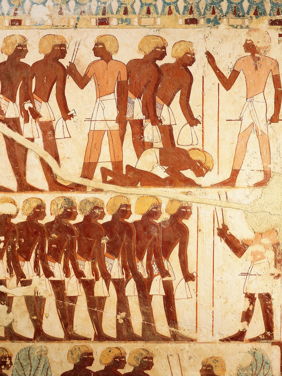Detail of frescoes de[icting the army receiving rations, from the Tomb of Userhat (TT56) بواسطة الأسرة الثامنة عشر المصرية
