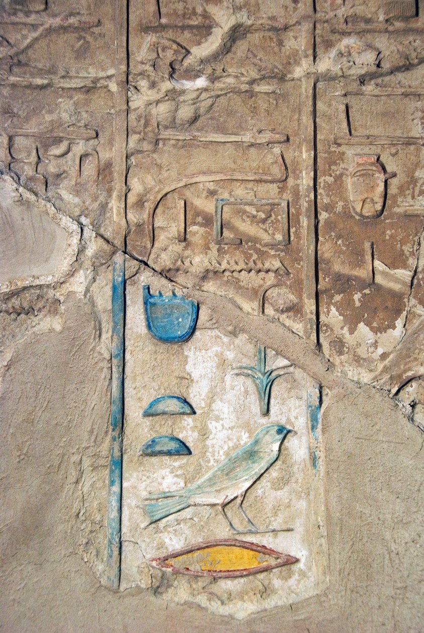 الأنتيكيت المصري: الزوائد الهيروغليفية الملونة. قبر الخروف (TT192) (الأسرة الثامنة عشر بواسطة الأسرة الثامنة عشر المصرية