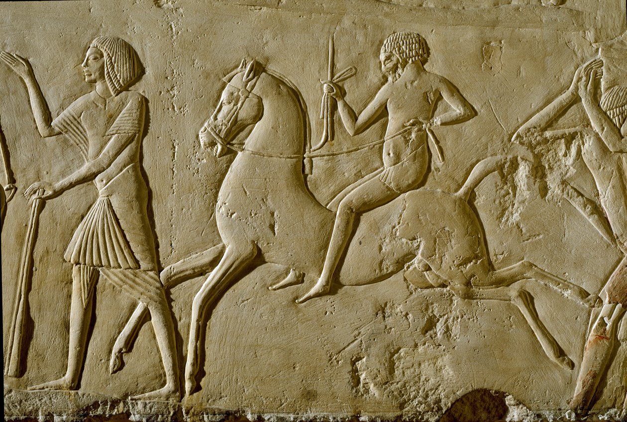 الآثار المصرية: ارتياح مع المحارب على ظهور الخيل. نهاية الأسرة الثامنة عشر بواسطة الأسرة الثامنة عشر المصرية
