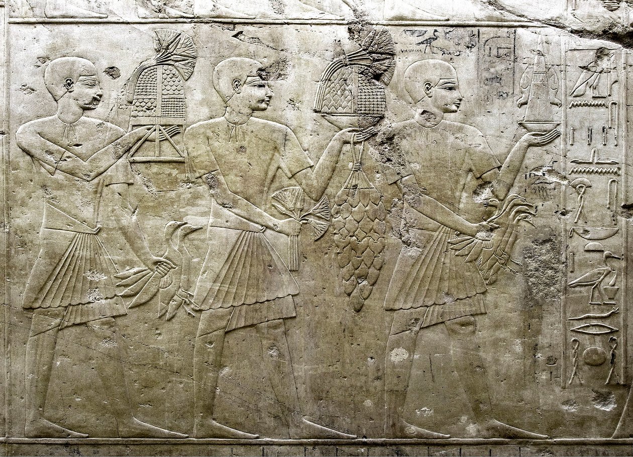 الآثار المصرية: تمثيل حملة القرابين. نقش منخفض لمقبرة الوزير راموس (الأسرة الثامنة عشر). الأقصر ، طيبة ، وادي النبلاء بمصر بواسطة الأسرة الثامنة عشر المصرية