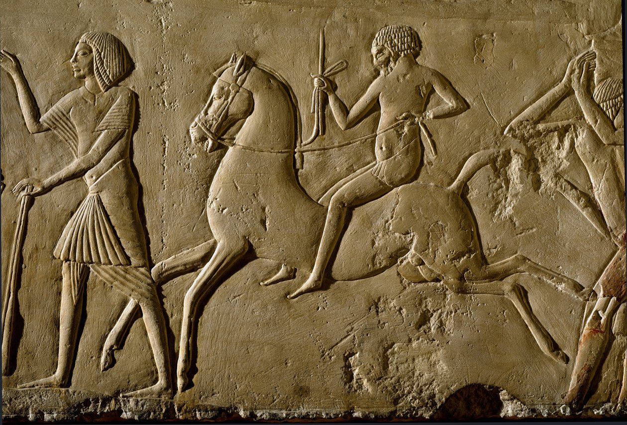 الآثار المصرية: "" المحارب على صهوة الجواد "" الإغاثة من قبر لشخصية مرموقة. 1354-1346 ق. الأسرة الثامنة عشر. بولونيا ، Civico Museo Archeologico بواسطة الأسرة الثامنة عشر المصرية