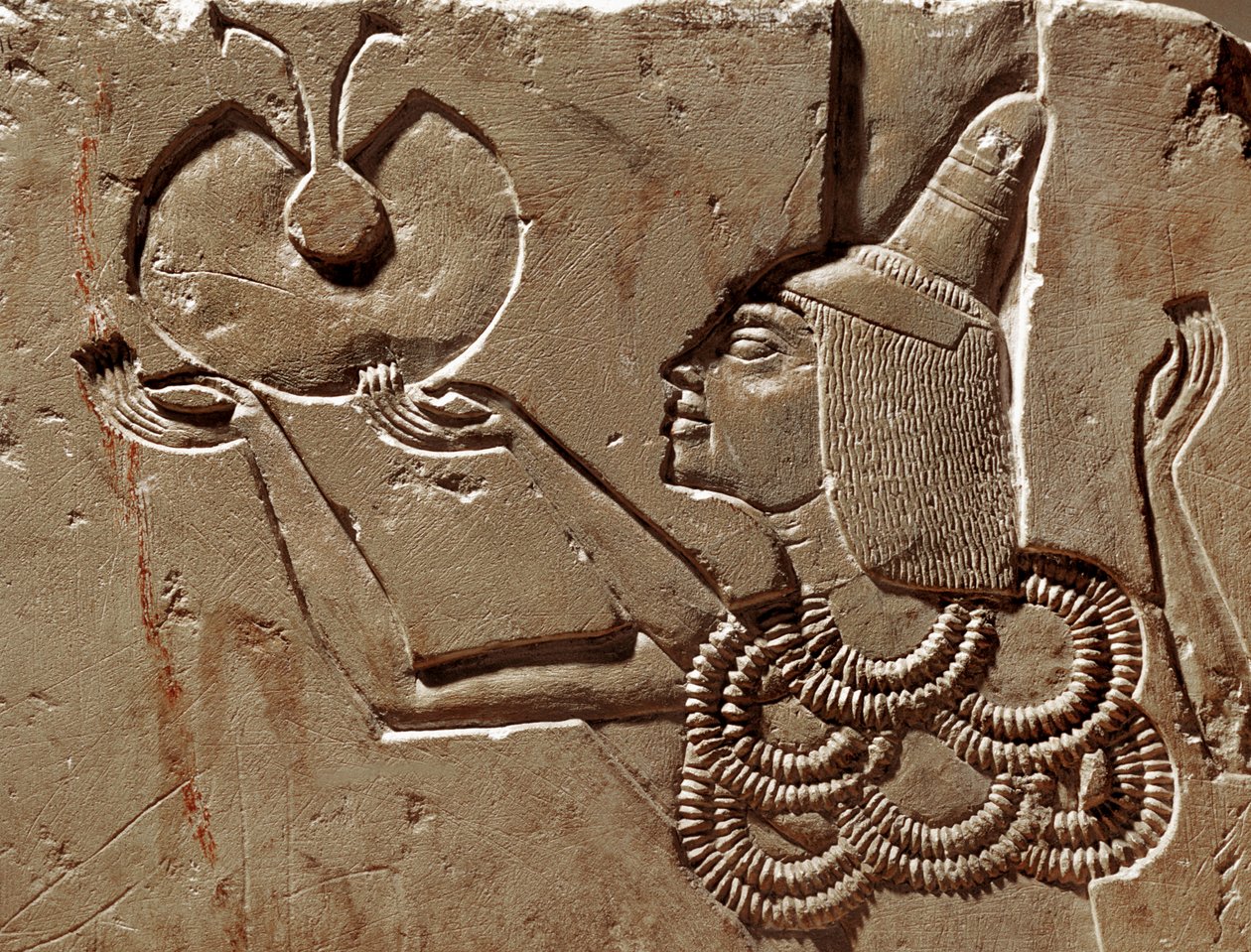  بواسطة الأسرة الثامنة عشر المصرية