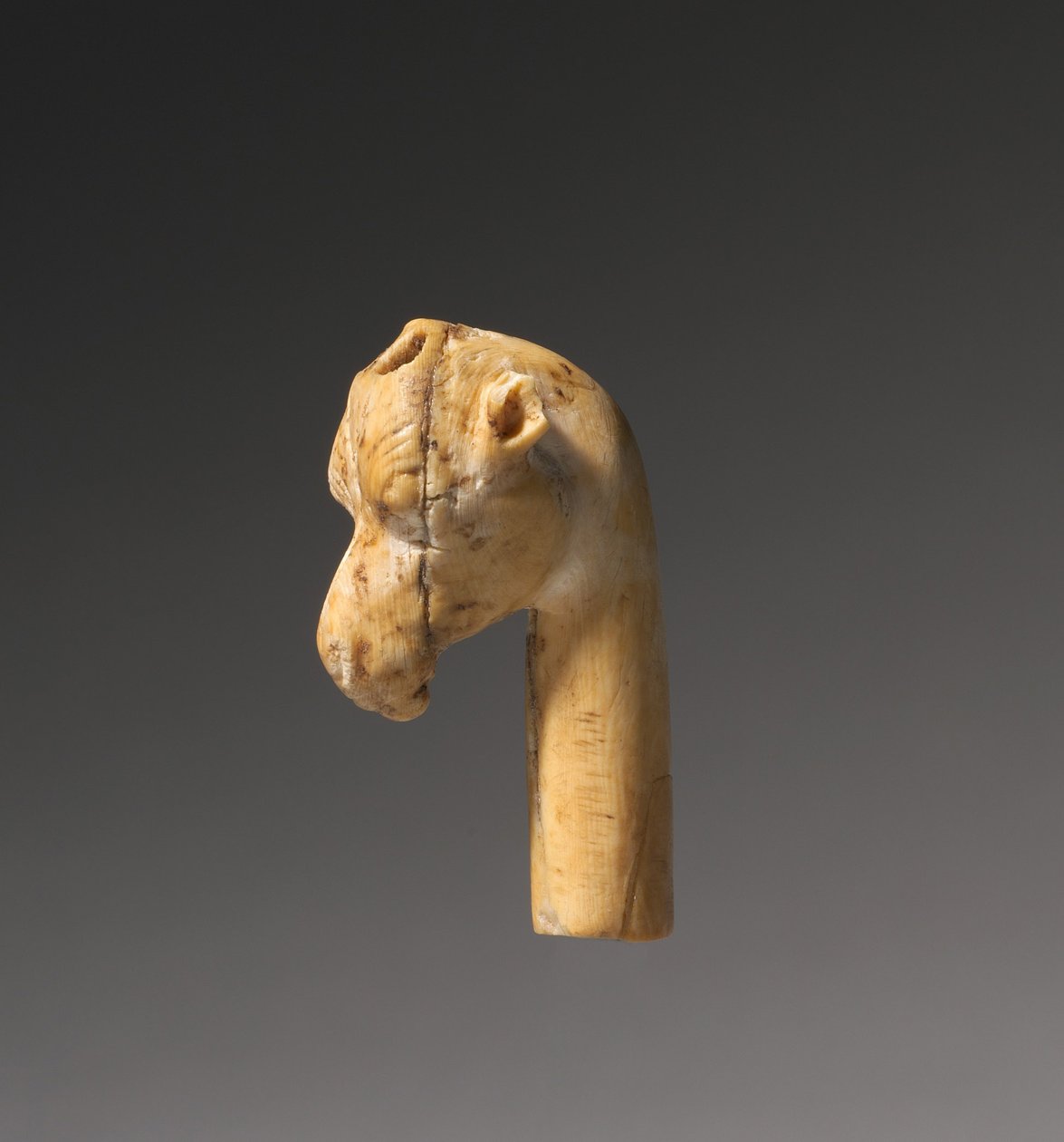 رأس الزرافة ، 1540-1296 قبل الميلاد بواسطة الأسرة الثامنة عشر المصرية