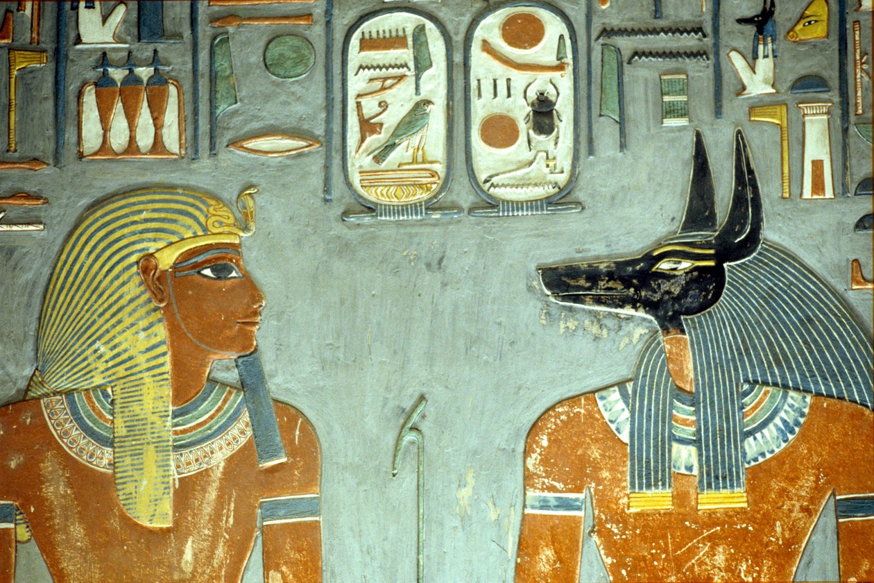 حورمحب وأنوبيس ، من مقبرة حورمحب (c.1323-1295 قبل الميلاد) المملكة الحديثة (رسم جداري) (تفاصيل 218343) بواسطة الأسرة الثامنة عشر المصرية
