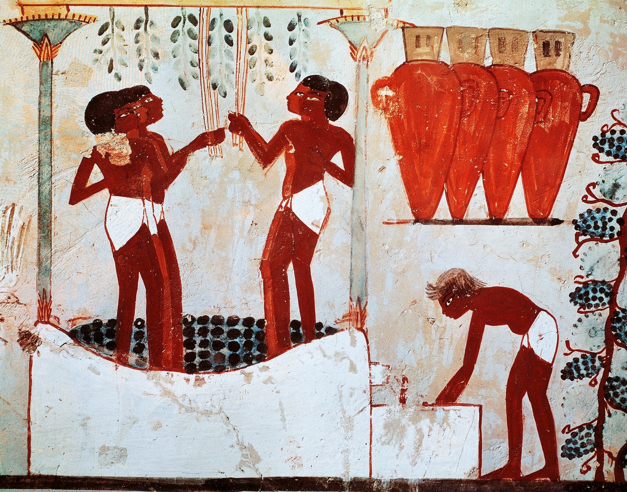 Illustration rural daily life : plucking fowls and grape harvesting, coming from Nakht tomb in Thebes بواسطة الأسرة الثامنة عشر المصرية