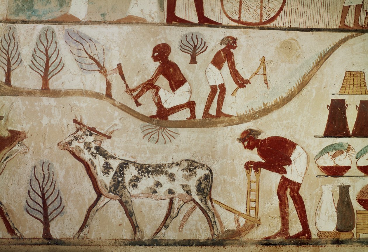  بواسطة الأسرة الثامنة عشر المصرية