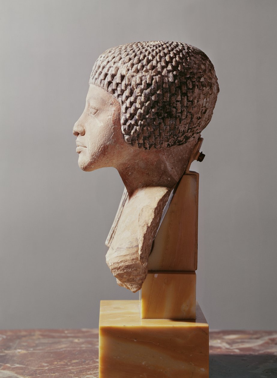 الملف الشخصي الأيسر لرئيس أميرة من عائلة إخناتون ، المملكة الجديدة (الحجر الجيري المطلي) (انظر أيضًا 107940 ، 116813 ، 370211) بواسطة الأسرة الثامنة عشر المصرية