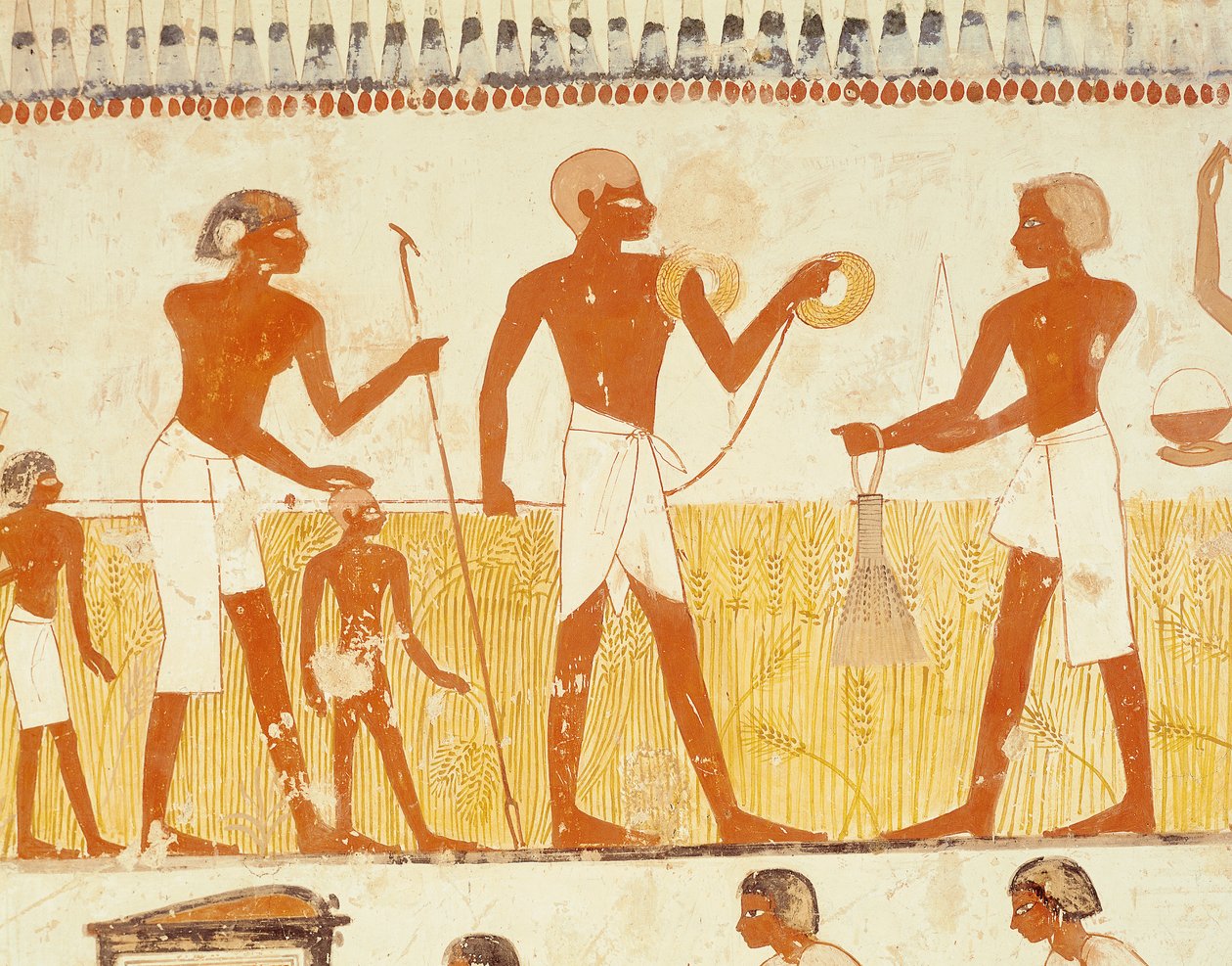 قياس الأرض باستخدام الحبل ، من مصلى قبر منة ، المملكة الحديثة (رسم جداري) (انظر أيضًا 251666) بواسطة الأسرة الثامنة عشر المصرية
