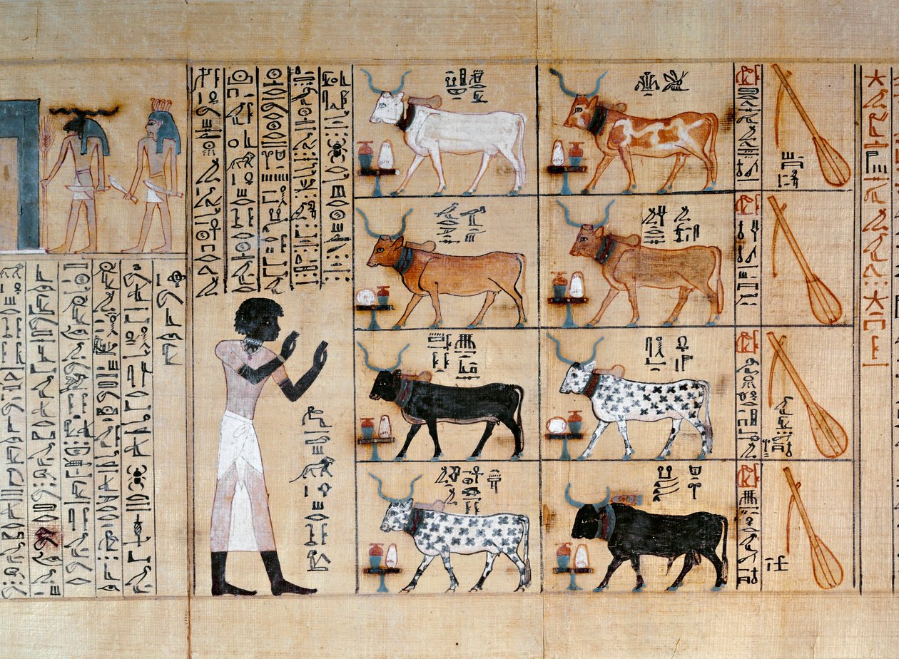  بواسطة الأسرة الثامنة عشر المصرية
