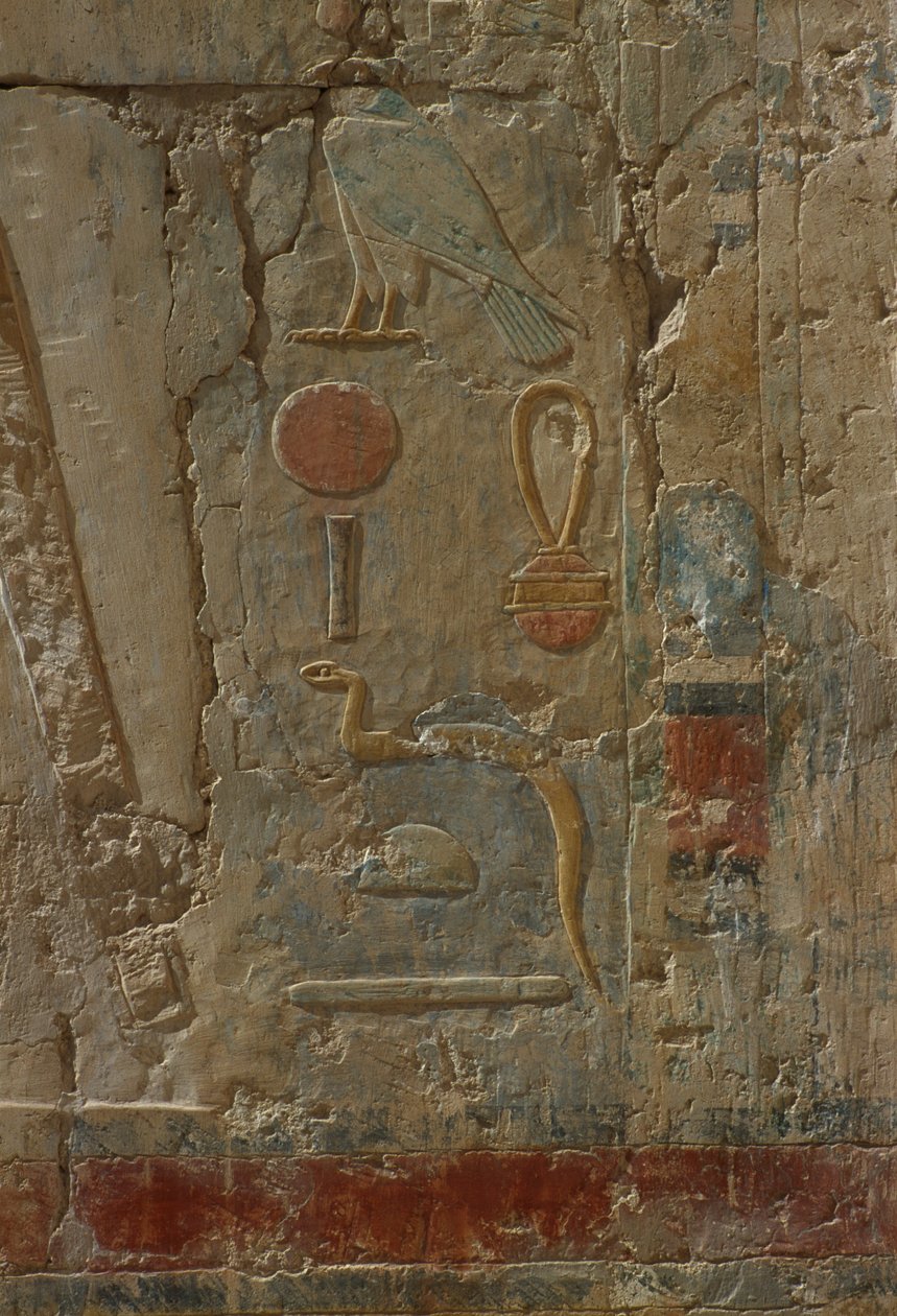 نقش يصور حورس ، كنيسة الإلهة حتحور ، من معبد حتشبسوت الجنائزي (1503-1482 قبل الميلاد) المملكة الجديدة (الحجر الجيري المطلي) بواسطة الأسرة الثامنة عشر المصرية