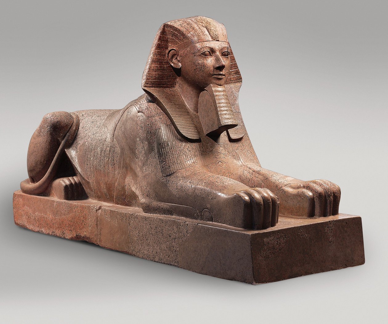 أبو الهول حتشبسوت ، c.1479-58 (الجرانيت والطلاء) بواسطة الأسرة الثامنة عشر المصرية
