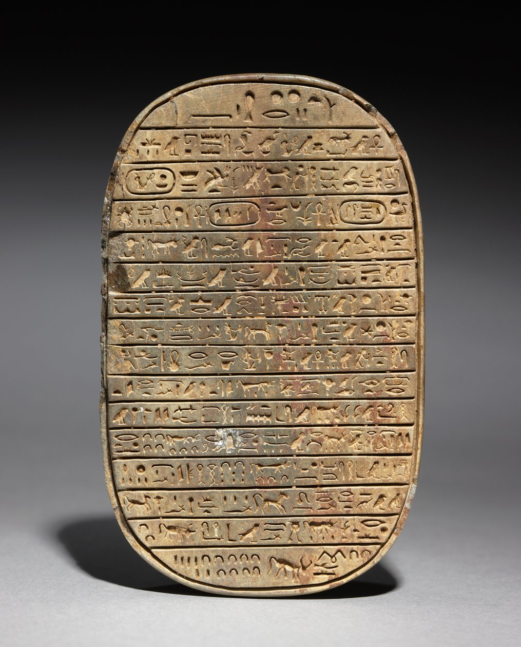 Wild Bull Hunt Scarab of Amenhotep III، c.1391-1353 BC بواسطة الأسرة الثامنة عشر المصرية