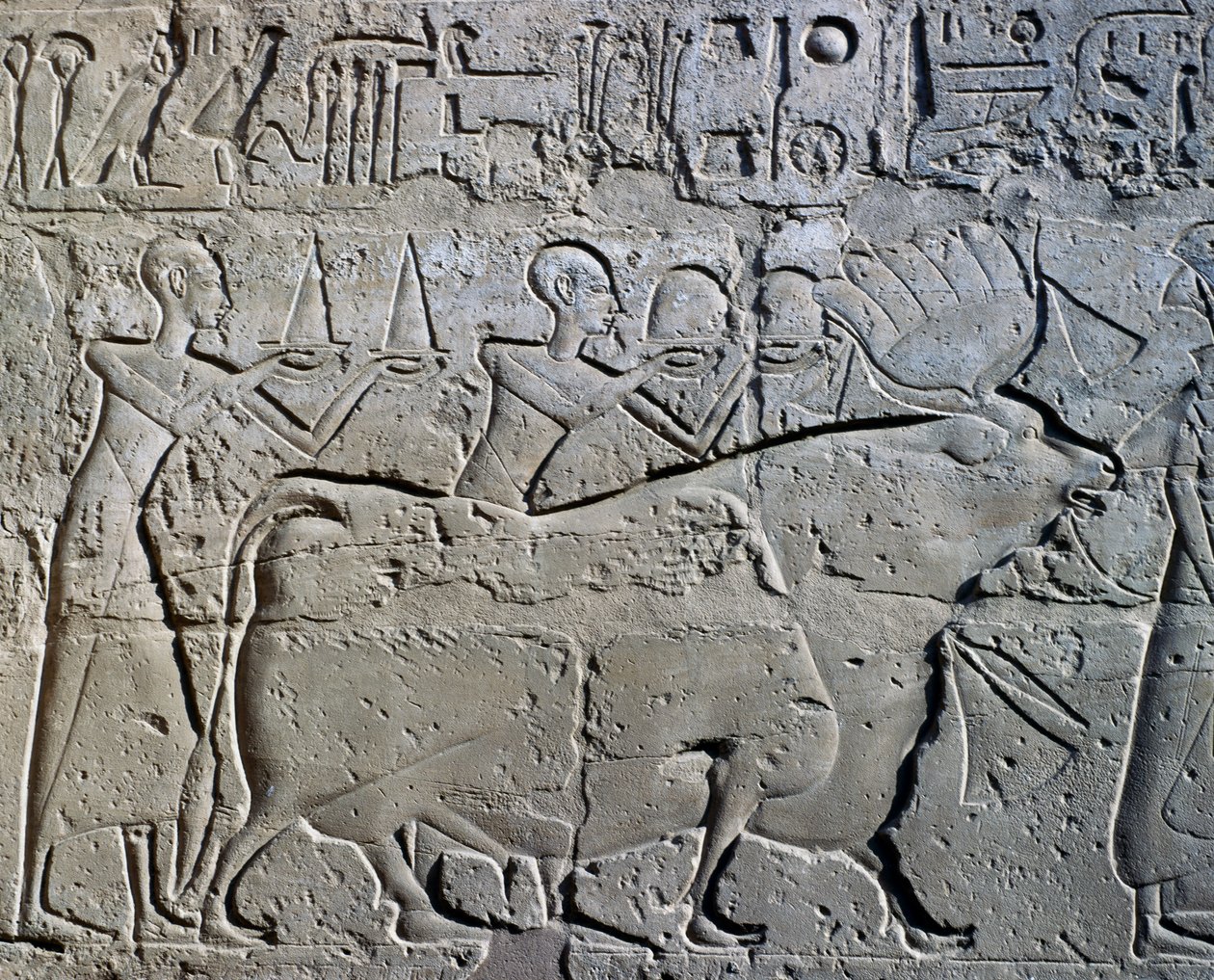  بواسطة الأسرة المصرية التاسعة عشرة