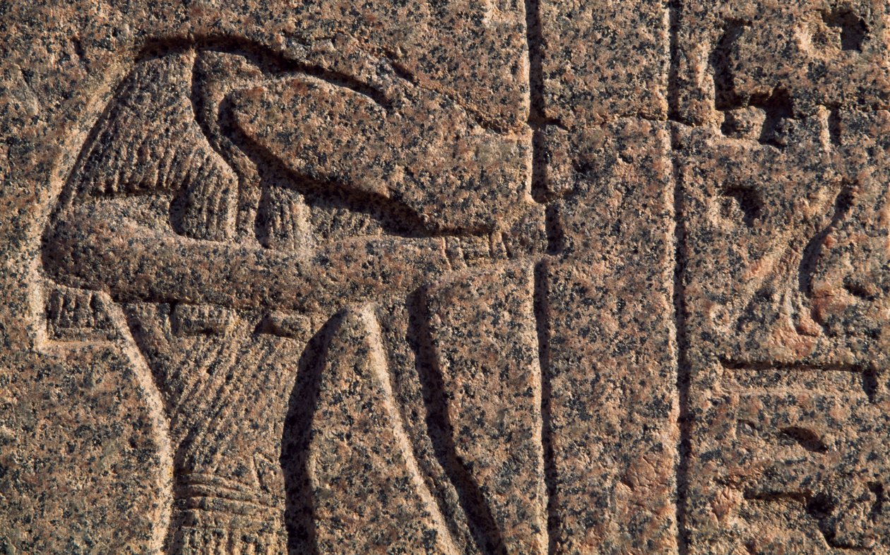 تصوير تحوت، تفاصيل النقش والنقش البارز لتحوت وحورس، تابوت أمنحتب، ممفيس (قائمة التراث العالمي لليونسكو) بواسطة الأسرة المصرية التاسعة عشرة