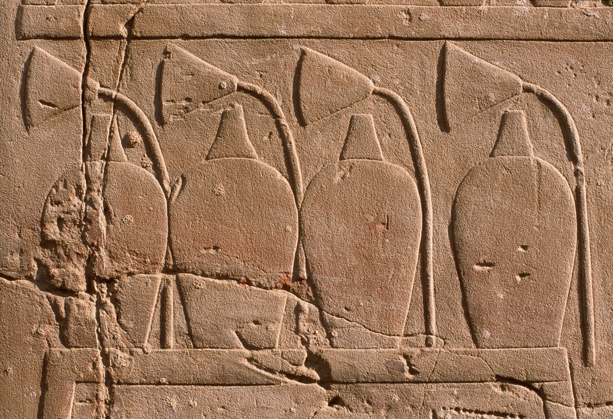 تفاصيل الإغاثة التي تصور الجرار وزهور اللوتس (الحجر الجيري) بواسطة الأسرة المصرية التاسعة عشرة