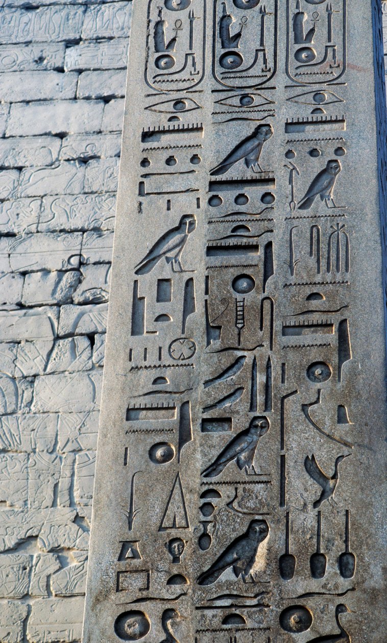  بواسطة الأسرة المصرية التاسعة عشرة