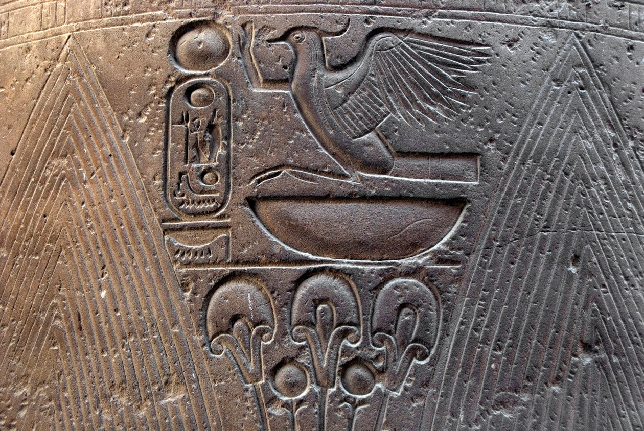 قطعة أثرية مصرية: تفاصيل بارزة تزين خرطوشة الفرعون رمسيس الثاني (1292-1186 قبل الميلاد). معبد الأقصر. الضفة الشرقية (طيبة) ، مصر بواسطة الأسرة المصرية التاسعة عشرة