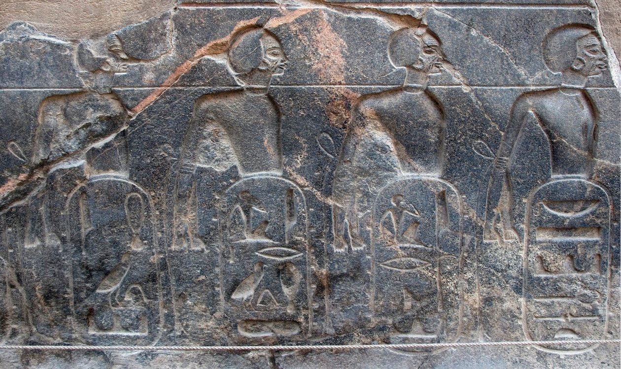الآثار المصرية: تفاصيل نقش بارز يزين شعارات الأراضي التي احتلها فرعون رمسيس الثاني (1292-1186 قبل الميلاد). معبد الأقصر. الضفة الشرقية (طيبة) ، مصر بواسطة الأسرة المصرية التاسعة عشرة