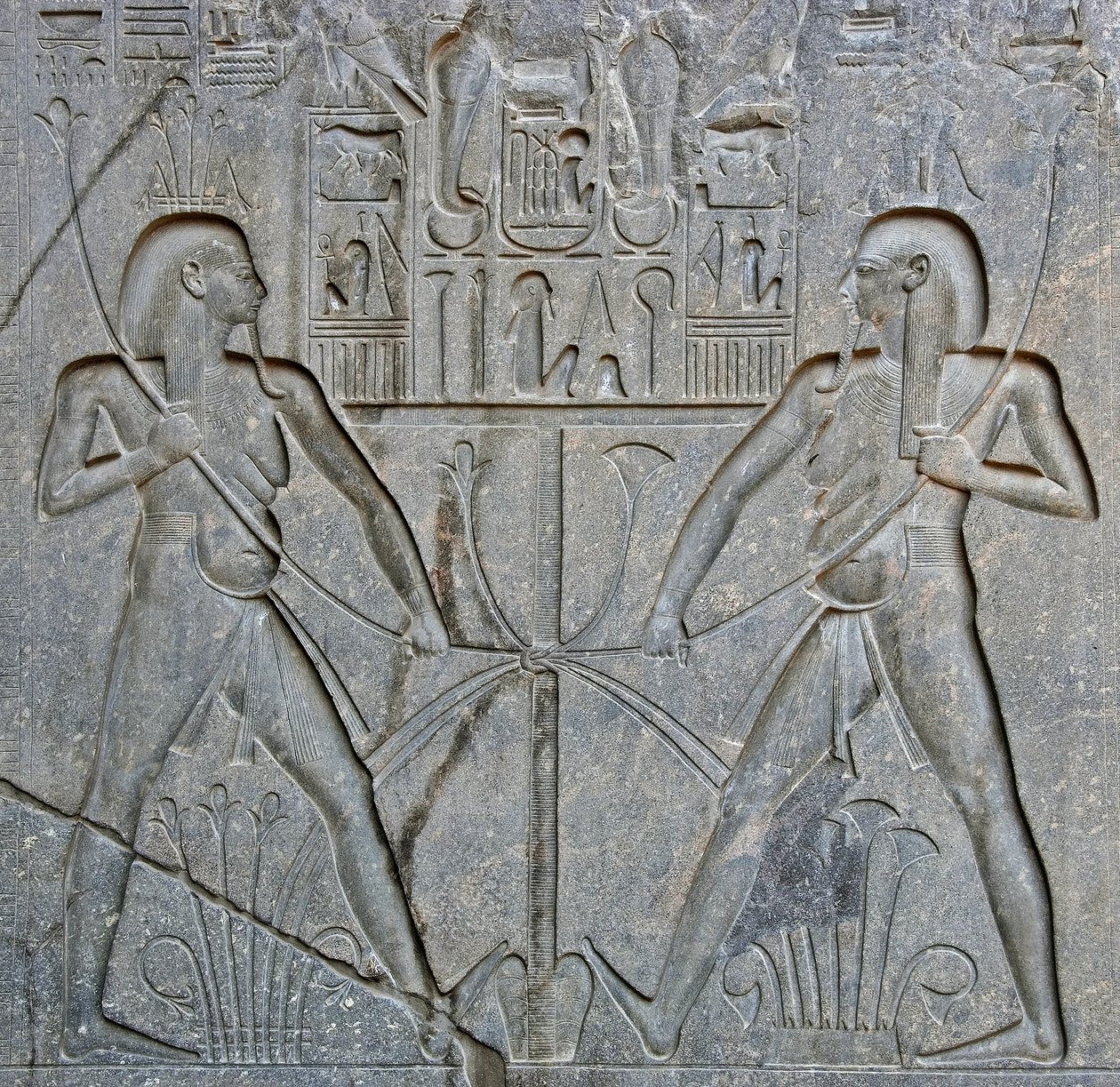 الآثار المصرية: تفاصيل قاعدة تمثال الفرعون رمسيس الثاني (1292-1186 قبل الميلاد) التي تمثل اتحاد مصر العليا والسفلى. معبد الأقصر. الضفة الشرقية (طيبة) ، مصر بواسطة الأسرة المصرية التاسعة عشرة
