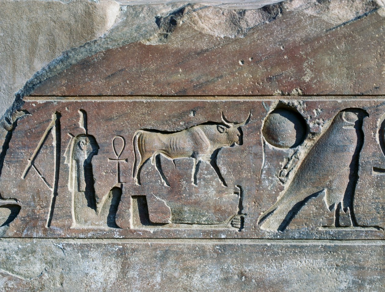 الهيروغليفية باسم رمسيس الثاني، قاعدة المسلة، معبد آمون (موقع التراث العالمي لليونسكو) بواسطة الأسرة المصرية التاسعة عشرة