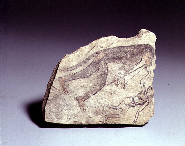 أوستراكون مع صورة قرد يعزف على الفلوت ، المملكة الحديثة (الحجر الجيري الملون) بواسطة الأسرة المصرية التاسعة عشرة