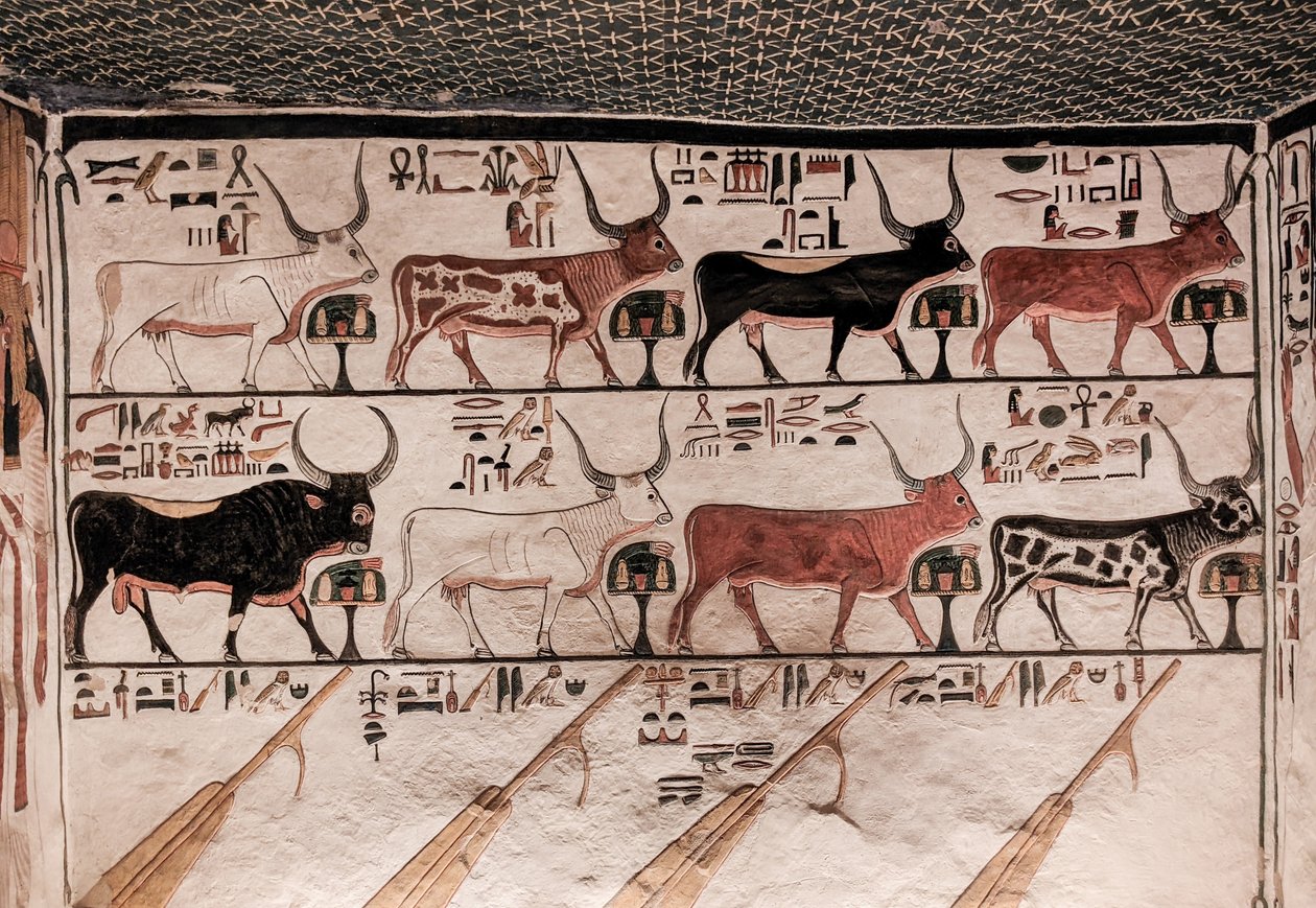 مقبرة نفرتاري (لوحة جدارية) بواسطة الأسرة المصرية التاسعة عشرة