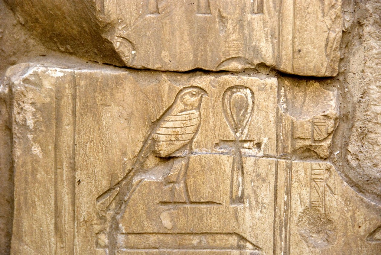 الآثار المصرية: خرطوشة عنخ حور. مقبرة عنخ حور (عنخ حور) (TT414) (الأسرة السادسة والعشرون ، 672-525 قبل الميلاد) ، الأقصر (طيبة) ، مصر بواسطة الأسرة المصرية السادسة والعشرون