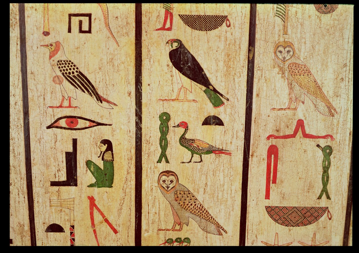 تابوت بسامتيك الأول (664-610 قبل الميلاد) تفاصيل الهيروغليفية ، العصر المتأخر (الخشب المطلي) بواسطة الأسرة المصرية السادسة والعشرون