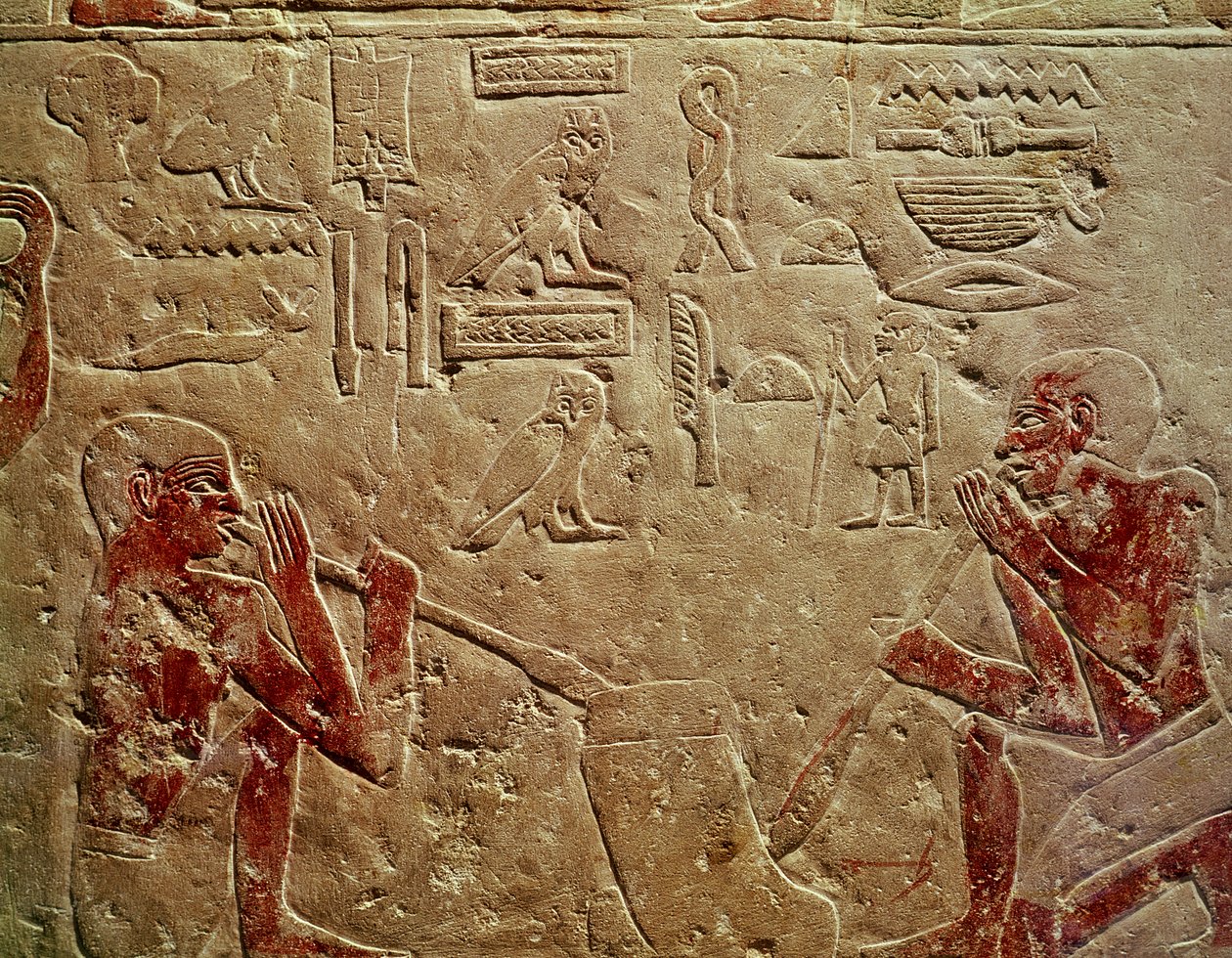 نقوش بارزة مصورة للزجاج ، من مصطبة كايمريو ، سقارة ، المملكة القديمة ، c2325 قبل الميلاد (الحجر الجيري المطلي) بواسطة الأسرة المصرية السادسة