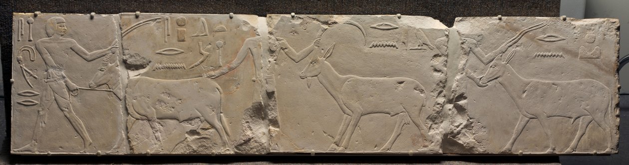 إغاثة الرجال الذين يجلبون حيوانات الصحراء ، c.2311-2281 قبل الميلاد بواسطة الأسرة المصرية السادسة