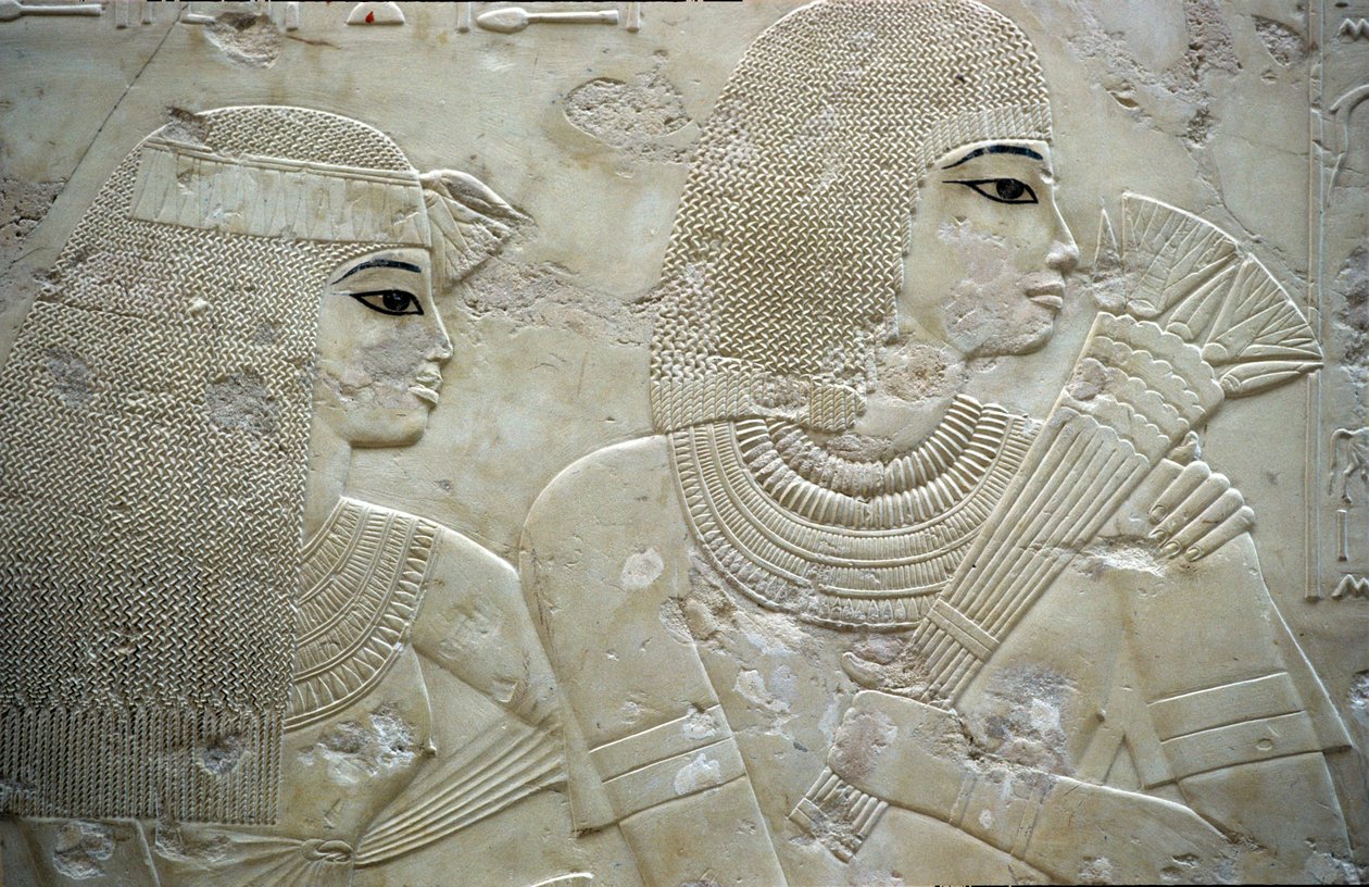  بواسطة مصري مصري