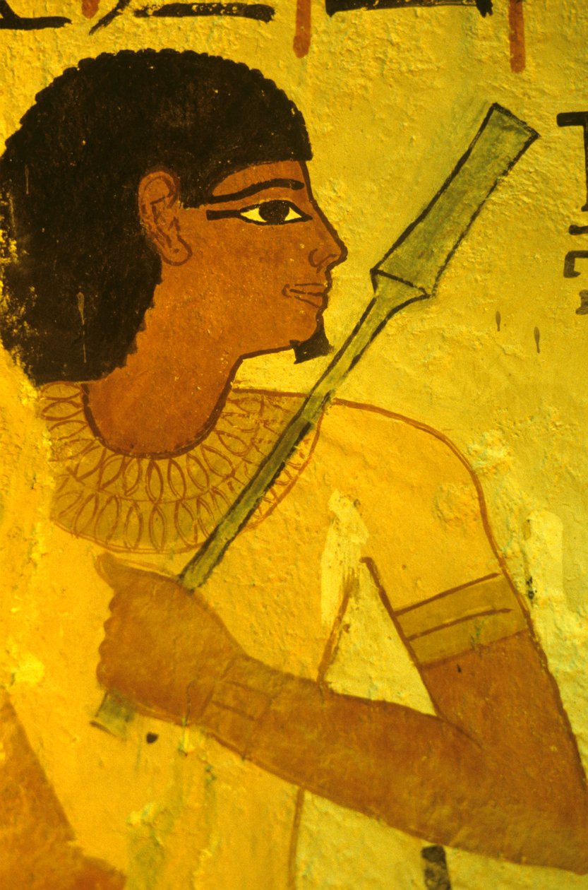  بواسطة مصري مصري