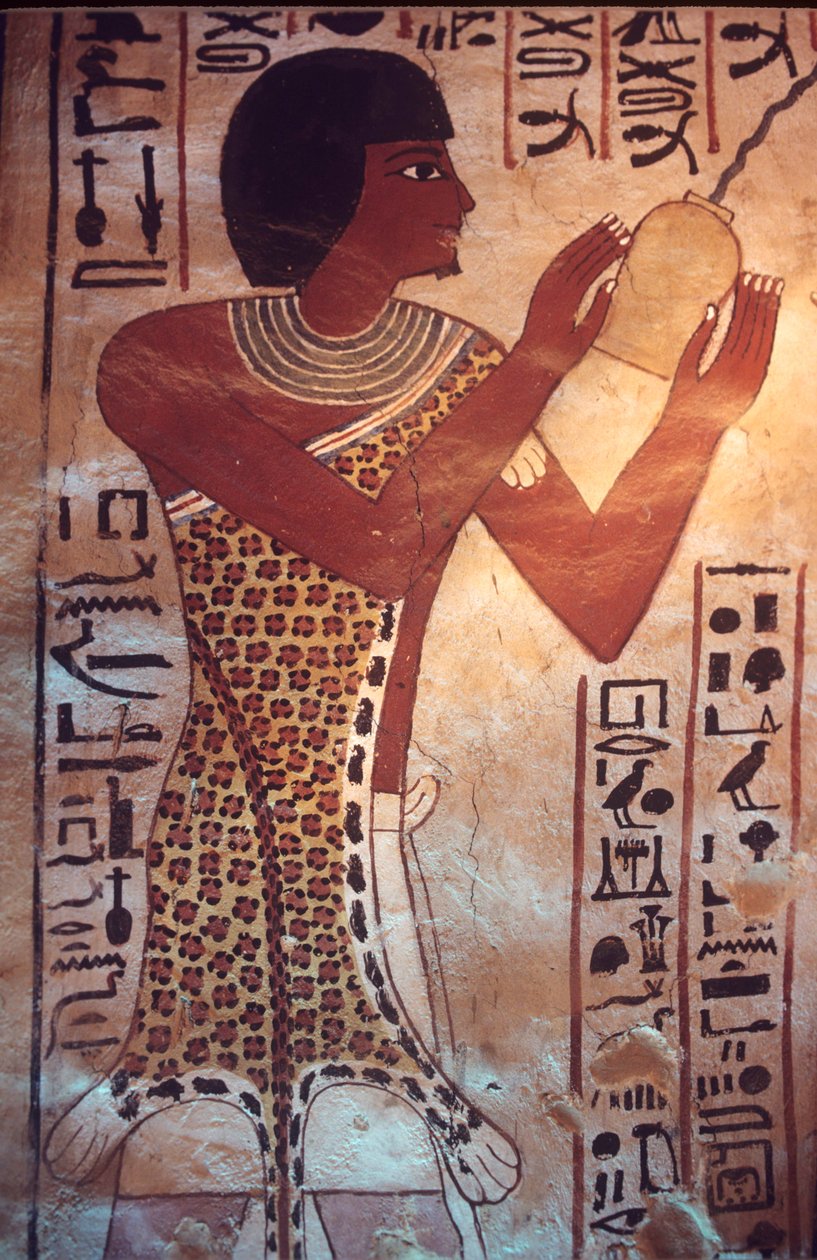  بواسطة مصري مصري