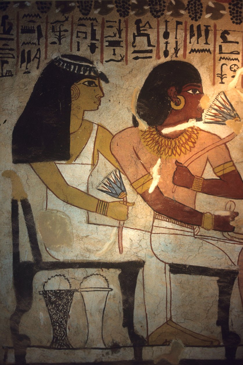 بواسطة مصري مصري