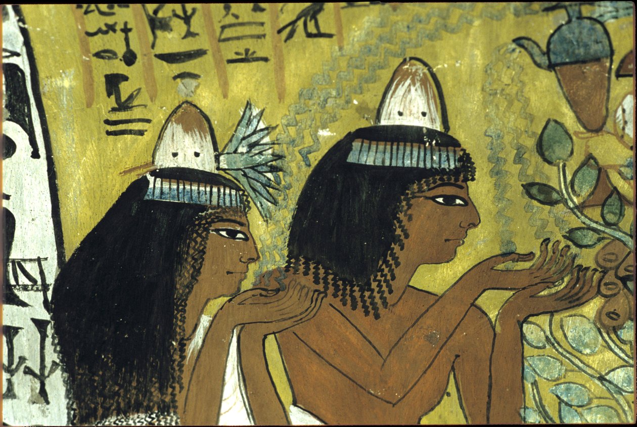  بواسطة مصري مصري