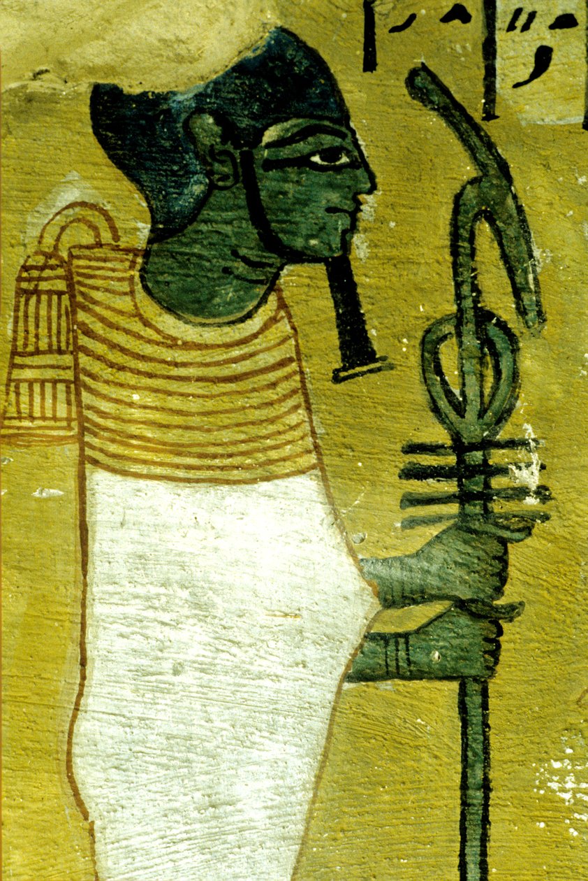  بواسطة مصري مصري
