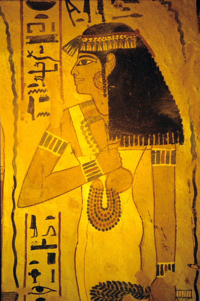مصر القديمة، الرسم الجداري، مقبرة سنوفر، مقبرة النبلاء، طيبة بواسطة مصري مصري