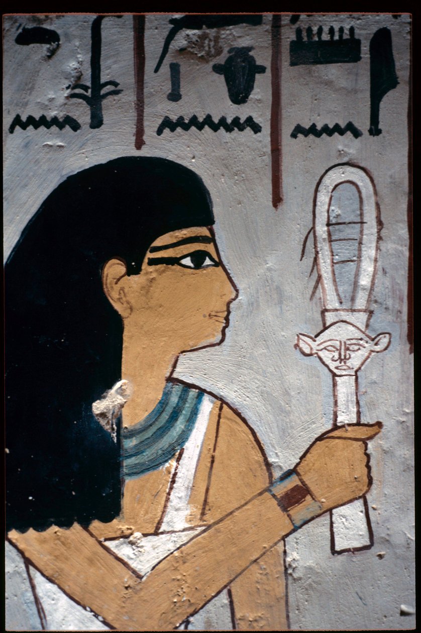  بواسطة مصري مصري