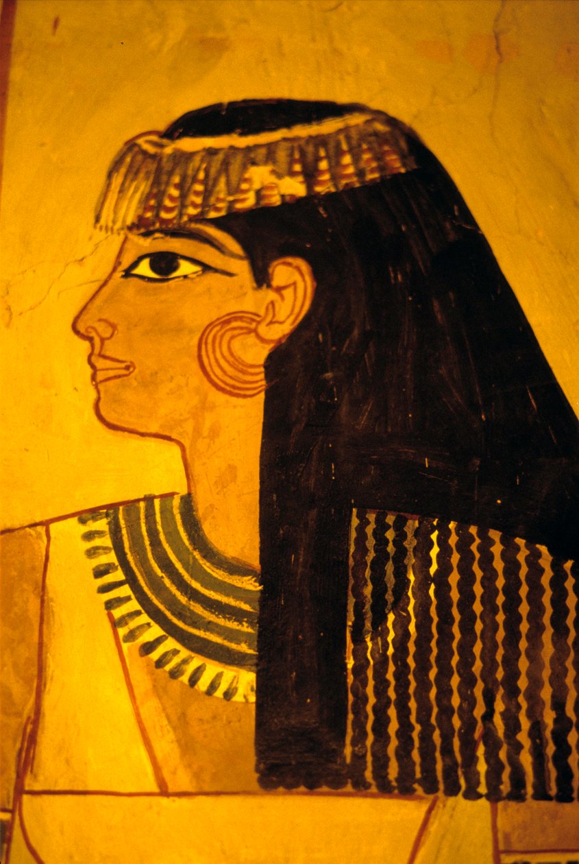  بواسطة مصري مصري