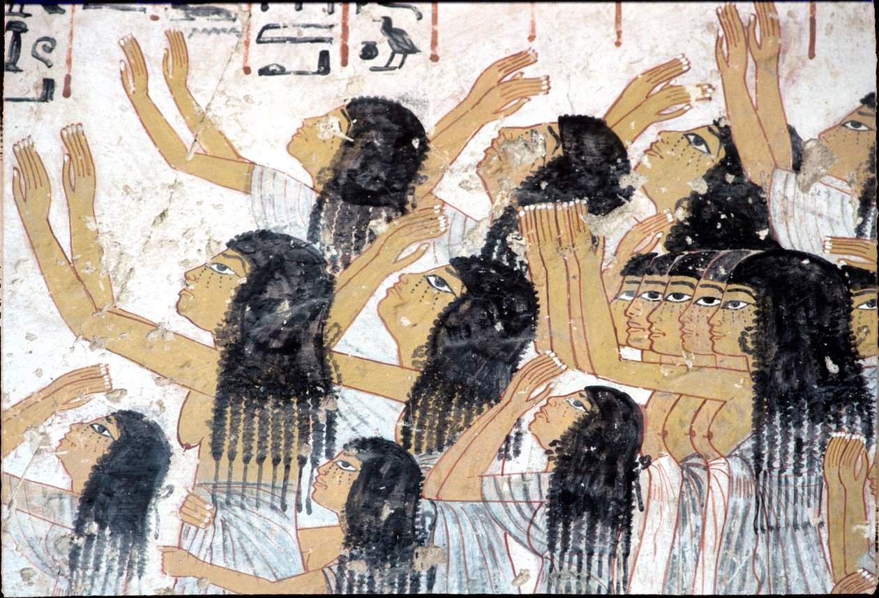  بواسطة مصري مصري