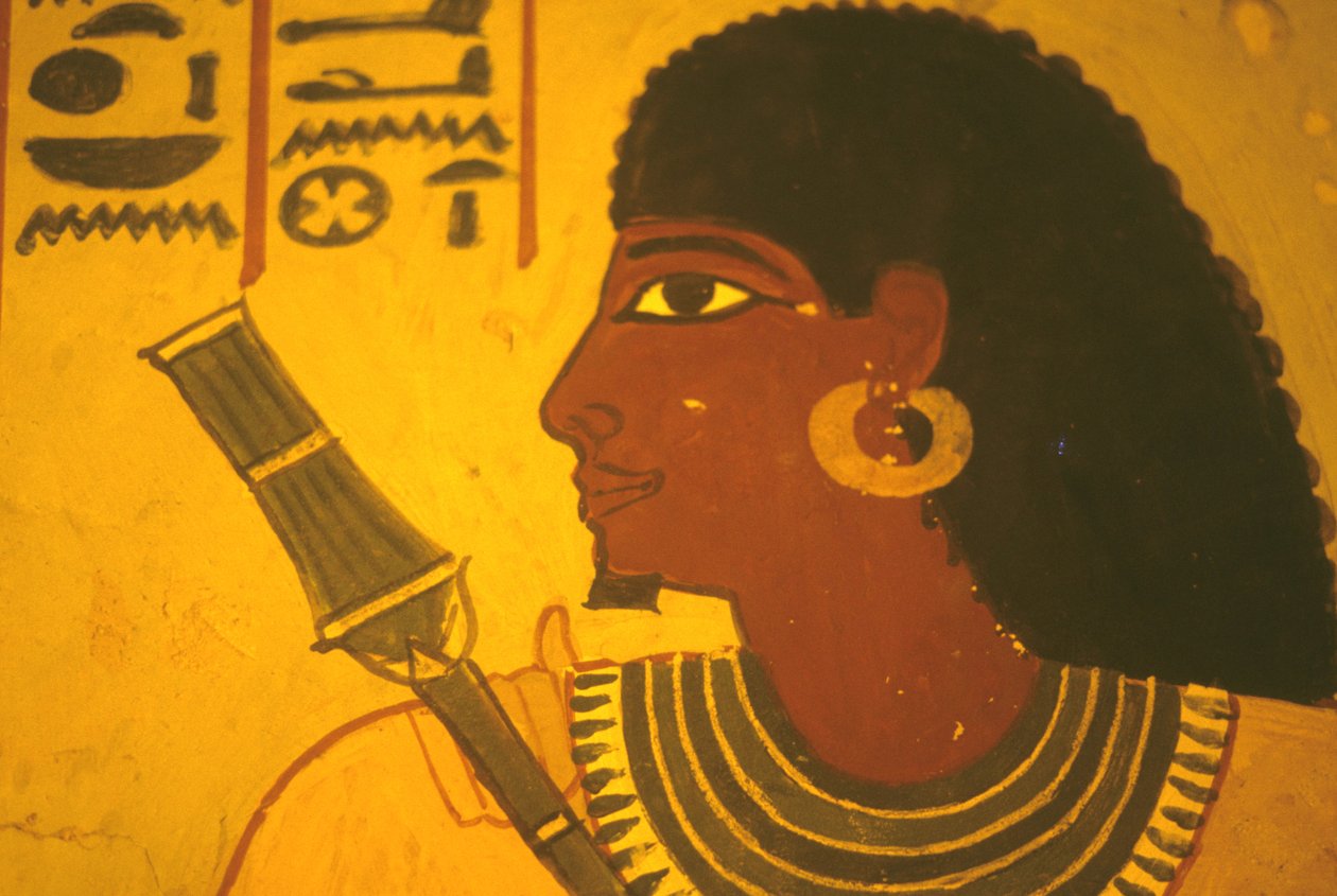 مصر القديمة، لوحة جدارية/جدارية/جصية، مقبرة سنوفر، طيبة/الأقصر، سنوفر يحمل صولجان، عمدة طيبة، المشرف في عهد أمينوفيس الثاني بواسطة مصري مصري
