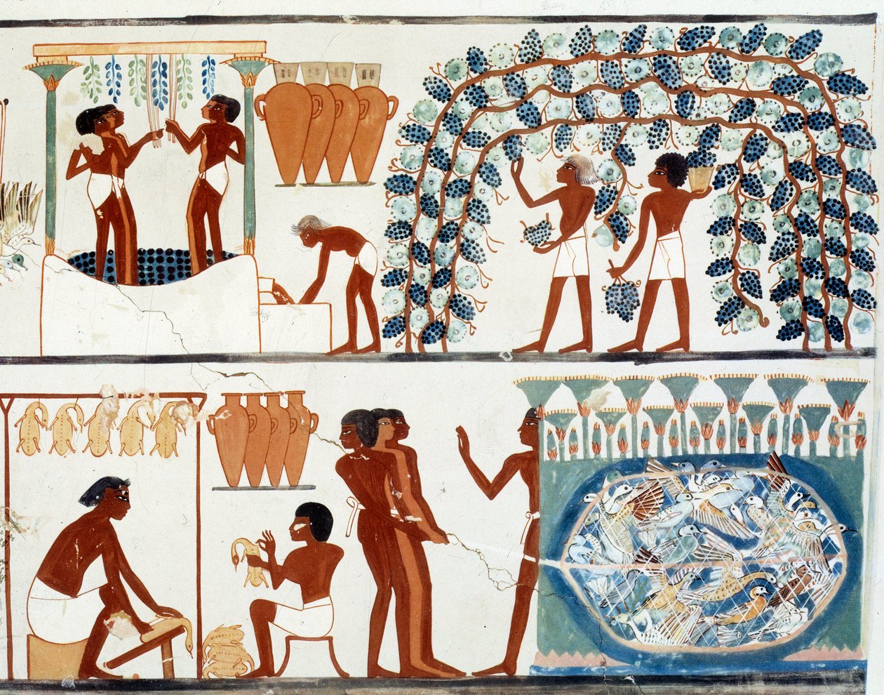 فن مصر: قطف وطحن العنب. كلية مشابهة لضريح نخت ، فترة أمينوفيس الثاني (1450-1425 قبل الميلاد) باريس ، كوليدج دو فرانس بواسطة مصري مصري