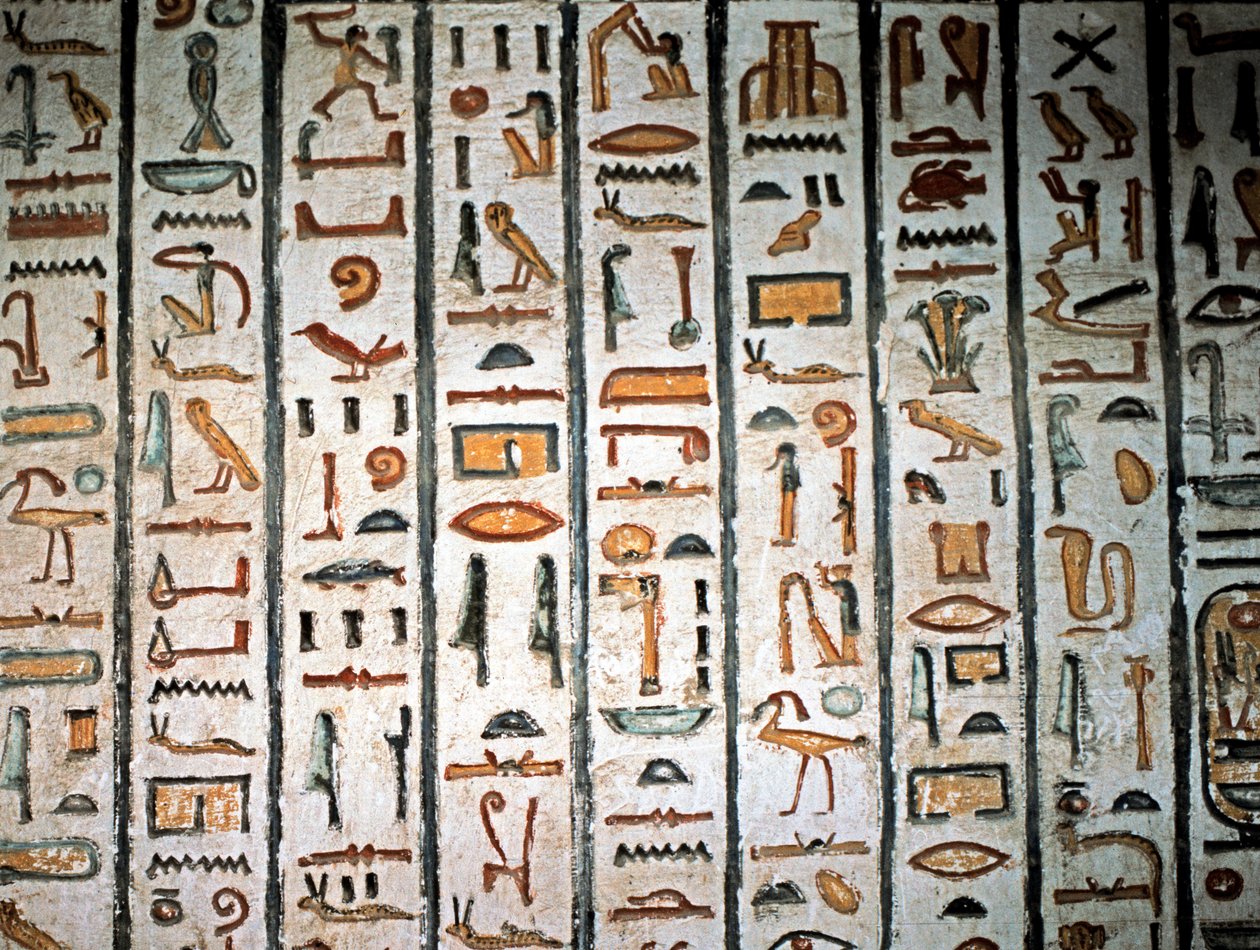  بواسطة مصري مصري