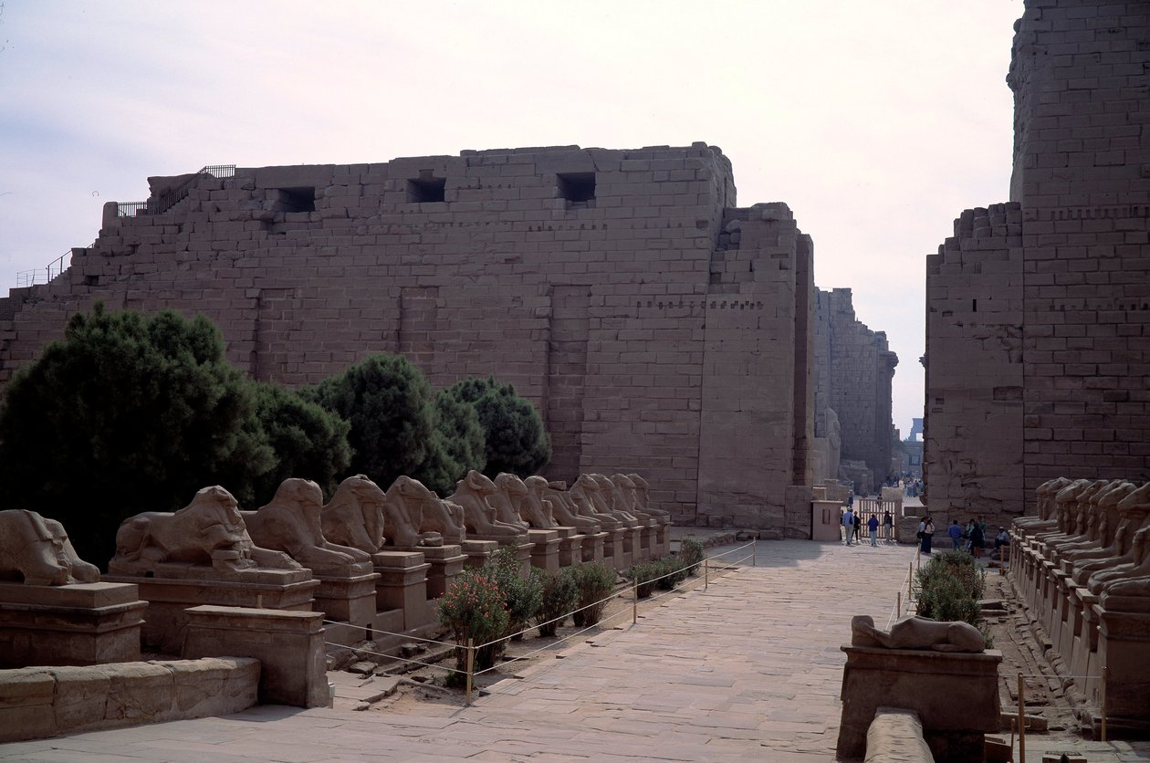 الآثار المصرية: ألي (دروموس) من criosphinx (أبو الهول على رأس بيليرس) في الكرنك ، الأقصر ، مصر بواسطة مصري مصري