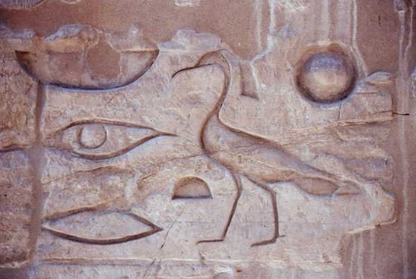 كتابات هيروغليفية من عمود ، معبد الأقصر (صورة) بواسطة مصري مصري