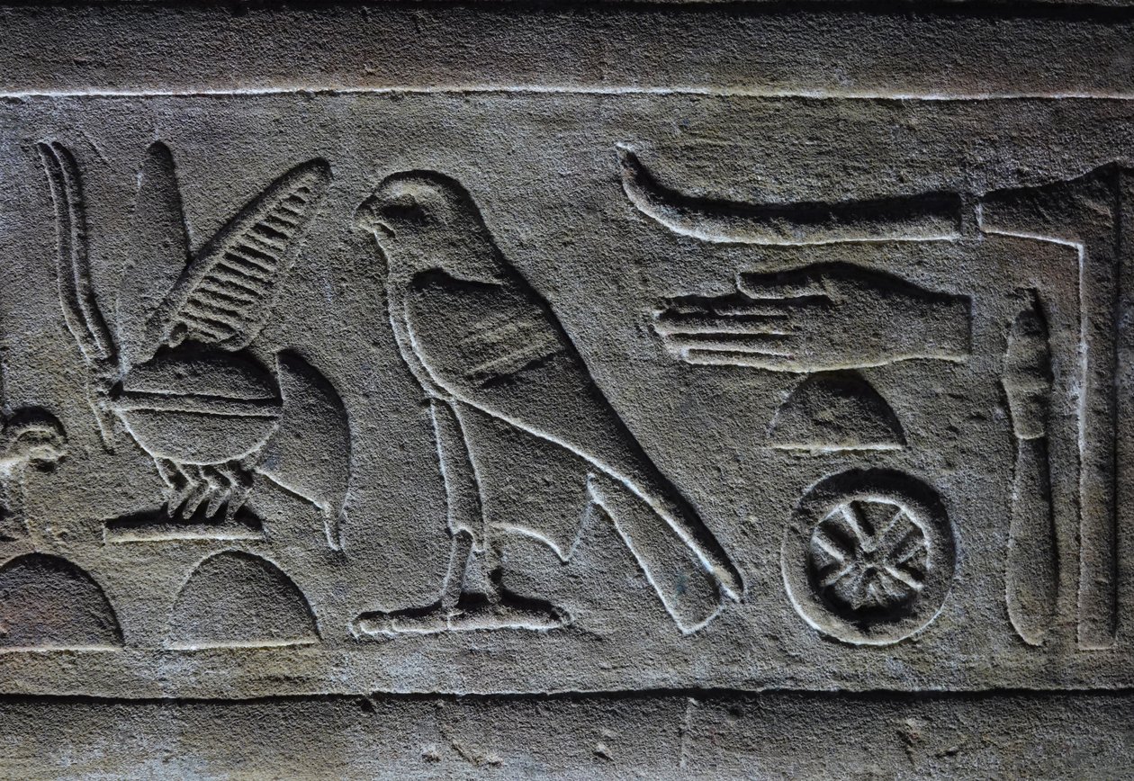  بواسطة مصري مصري